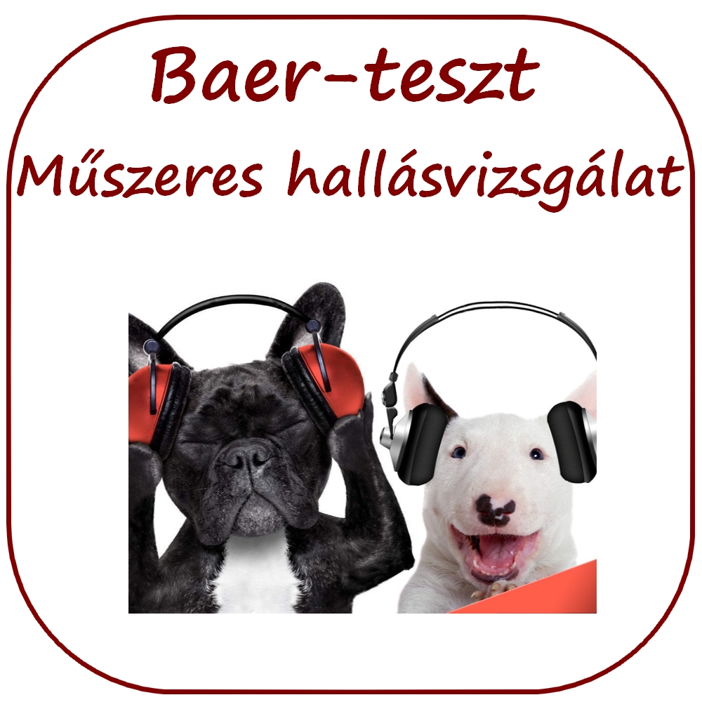 baer-teszt, kutya hallásvizsgálat